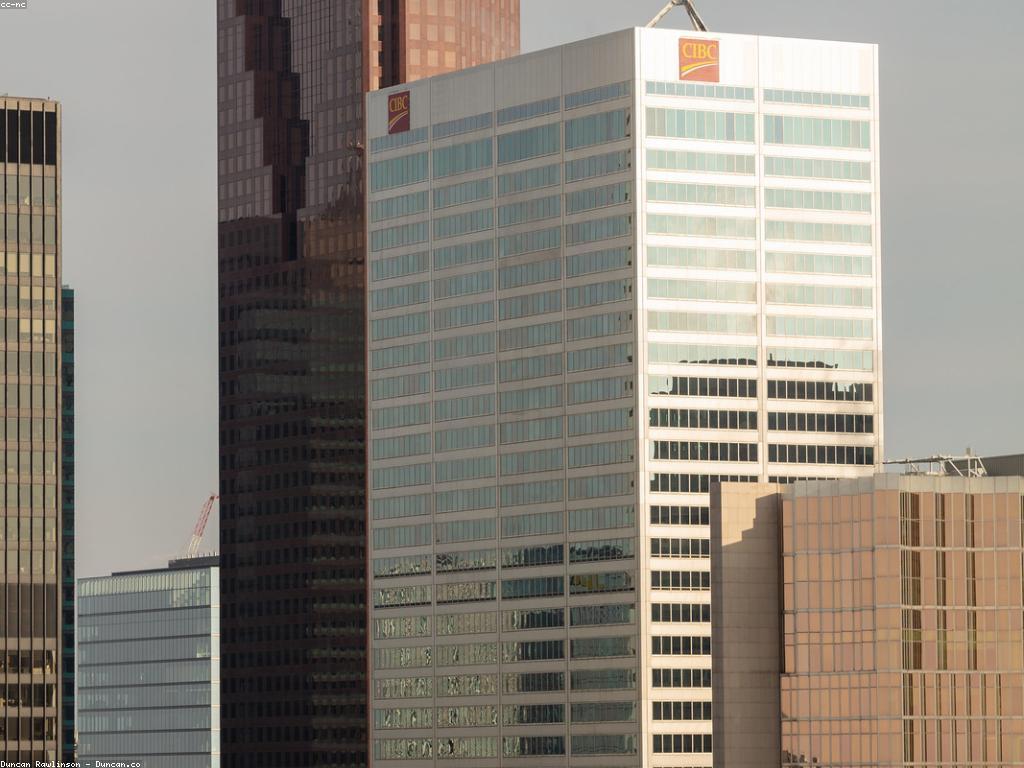 ការវិនិយោគទំនិញ: ផ្លូវអោយការអភិវឌ្ឍន៍ហិរញ្ញវត្ថុ